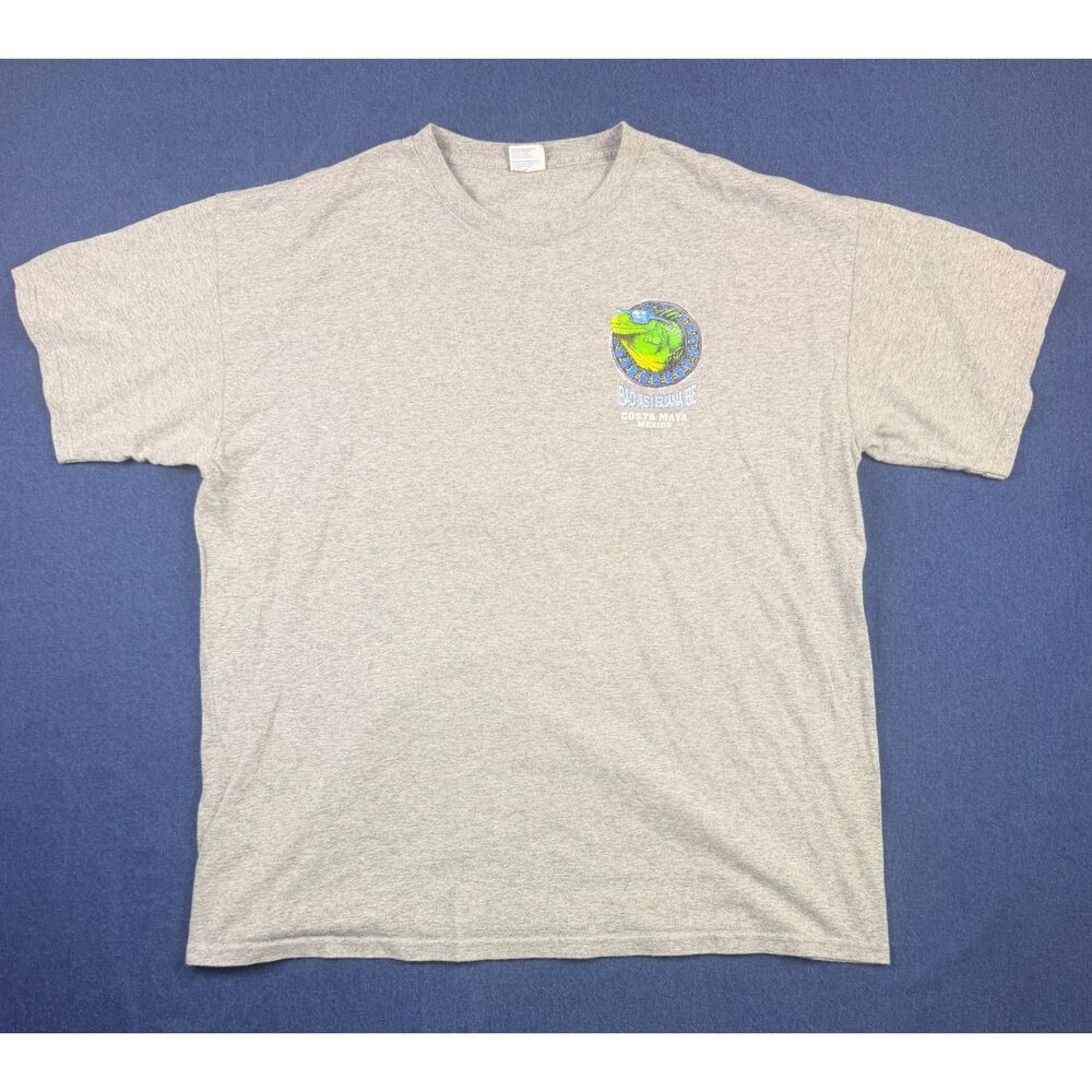 Yazbek Costa Maya Mexico Iguana Graphic T-Shirt Gray Heavyweight XL unisex
